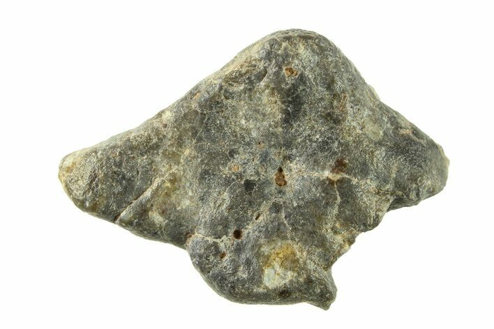 Lunar Meteorite ( g) - Laayoune #281589